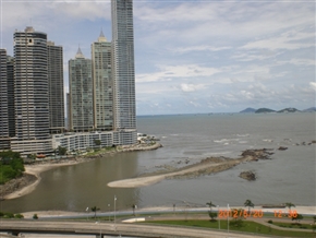 �p�i�}�s���̗l�q