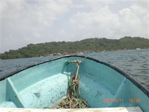 �p�i�}�̃��]�[�g