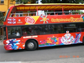 �p�i�}�s���̗l�q