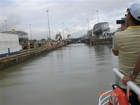 �p�i�}�^�� �ʉ߂̑D���@�̌����s�L�`�^�͂̎d�g�݂��킩��