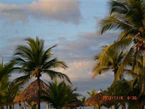 �p�i�}�̃��]�[�g