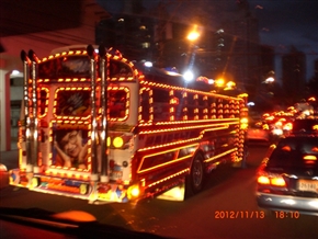 �p�i�}�s���̗l�q