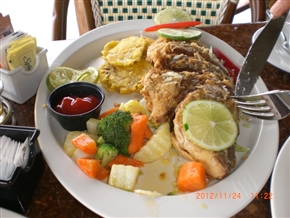 �p�i�}�̃��]�[�g