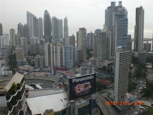 �p�i�}�s���̗l�q