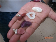 �G�N�A�h���A��A�����׍H�A�N�Z�T���[