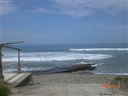 �G�N�A�h���A��A�����׍H�A�N�Z�T���[