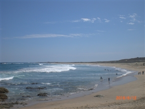 �G�N�A�h���@�T���^�@�G���i���@�T��-�i�X�S (Canton Salinas)