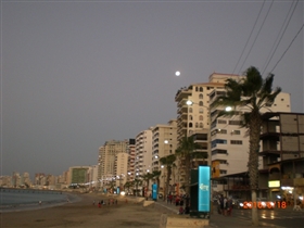 �G�N�A�h���̊C�ӂ̒��@�T���[�i�X�̗l�q