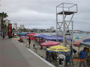 �G�N�A�h���@�T���^�@�G���i���@�T��-�i�X�S (Canton Salinas)