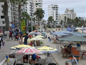 �G�N�A�h���̊C�ӂ̒��@�T���[�i�X�̗l�q