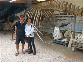 �G�N�A�h���@�T���^�@�G���i���@�T��-�i�X�S (Canton Salinas)