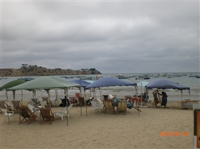 �G�N�A�h���@�T���^�@�G���i ���A�T���^�@�G���i�S�@(Canton Santa Elena)