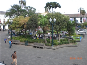 �G�N�A�h���A�L�g�Ɛԓ�