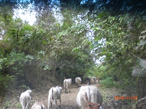 �G�N�A�h���̊C�ӂ̒��@�T���[�i�X�̗l�q