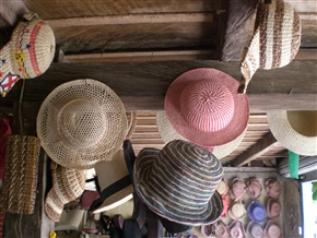 �g�L�����̖X�q �` �p�i�}�@�n�b�g