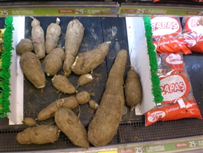 �G�N�A�h���A�ԓ��̍��̖�؁A�����̑�