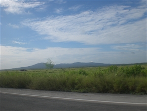 �G�N�A�h���@�T���^ �G���i���̊ό��ƃr�[�`