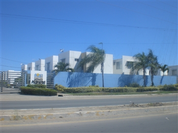 �G�N�A�h���@�T���^�@�G���i���̈ߗ��A�Z��