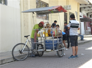 �G�N�A�h���@�T���^ �G���i���̐����ƏK��