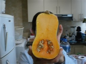 �G�N�A�h���A�ԓ��̍��̖�؁A�����̑�