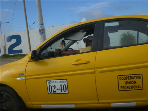 �G�N�A�h���@�T���^ �G���i���̌�ʁ@���̑�