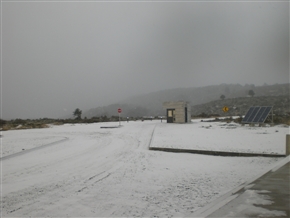 ��čœ�[�@�`���@�}�[�����C���@�̌����s�L