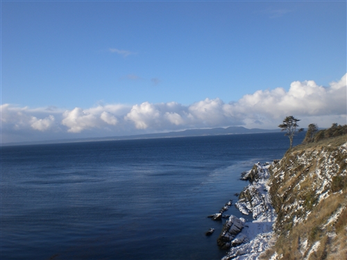 ��čœ�[�@�`���@�}�[�����C���@�̌����s�L