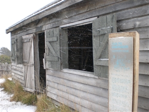 ��čœ�[�@�`���@�}�[�����C���@�̌����s�L