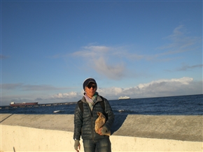 ��čœ�[�@�`���@�}�[�����C���@�̌����s�L