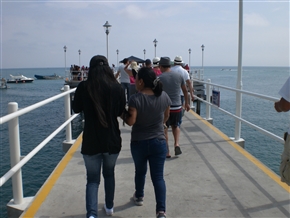 �ԓ��̍��A�G�N�A�h���@�T���[�i�X�̃N�W�������c�A�[