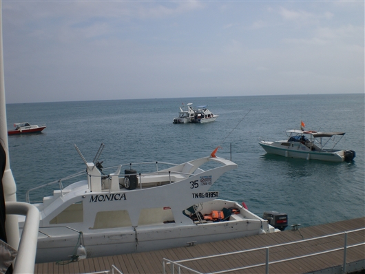 �ԓ��̍��A�G�N�A�h���@�T���[�i�X�̃N�W�������c�A�[