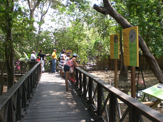 �O�A���L�[�� (Guayaquil) - �G�N�A�h���ő�̍`�p�s�s