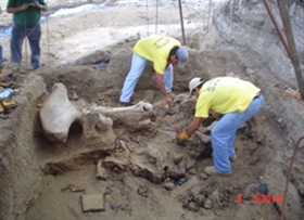 �G�N�A�h���@�T���^�@�G���i���@���@���x���^�S (Canton La Libertad)