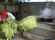 �g�L�����̖X�q �` �p�i�}�@�n�b�g