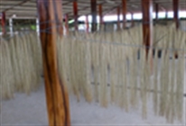 �g�L�����̖X�q �` �p�i�}�@�n�b�g