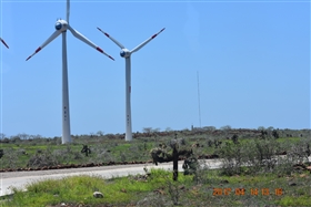 �K���p�S�X�����@�o���g�����@�`�@�T���^�@�N���X��