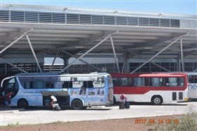 �K���p�S�X�����@�o���g�����@�`�@�T���^�@�N���X��