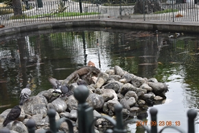 �O�A���L�[�� (Guayaquil) - �G�N�A�h���ő�̍`�p�s�s