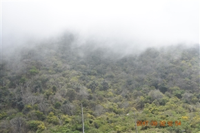 �����e�N���X�e�B - �G�N�A�h�� �n�b�g �i�p�i�}�X�j���˂̒n