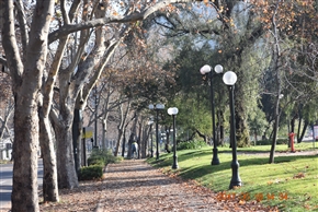 �`���@�T���`�A�S