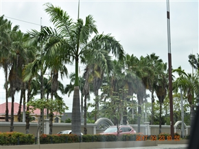 �O�A���L�[�� (Guayaquil) - �G�N�A�h���ő�̍`�p�s�s