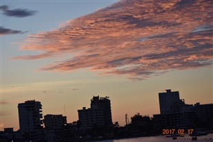 �G�N�A�h���̊C�ӂ̒��@�T���[�i�X�̗l�q