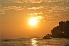 �G�N�A�h���@�T���^ �G���i���̐����ƏK��