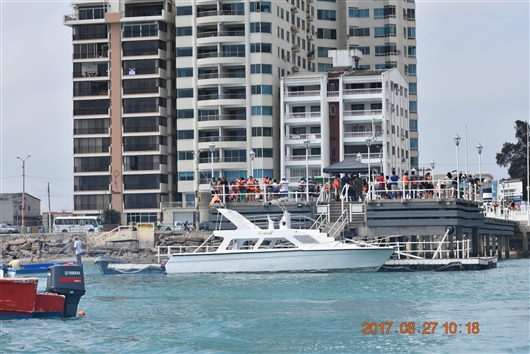 �ԓ��̍��A�G�N�A�h���@�T���[�i�X�̃N�W�������c�A�[