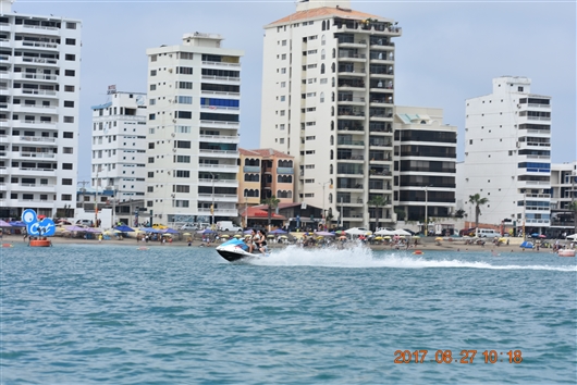 �ԓ��̍��A�G�N�A�h���@�T���[�i�X�̃N�W�������c�A�[