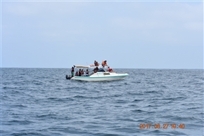 �ԓ��̍��A�G�N�A�h���@�T���[�i�X�̃N�W�������c�A�[