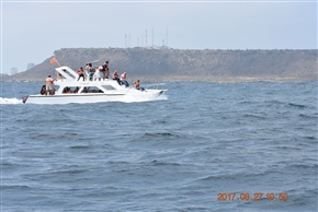 �ԓ��̍��A�G�N�A�h���@�T���[�i�X�̃N�W�������c�A�[