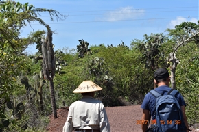 �K���p�S�X�����@�o���g�����@�`�@�T���^�@�N���X��