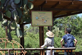 �K���p�S�X�����@�o���g�����@�`�@�T���^�@�N���X��