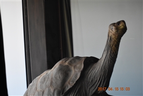 �K���p�S�X�����@�o���g�����@�`�@�T���^�@�N���X��